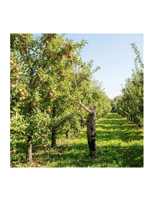 Multifunctional Clamp-Type 1.5 Meter High Branch Tree Fruit Picking Tool Stick