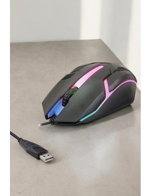 LED Illuminated 3D Gaming Wired Mouse, Computer Mouse, Notebook PC, Windows Compatible Gamer Mouse