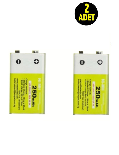 2 x 250mAh Rechargeable 9V Batteries for Rechargeable 9 Volt Double-Headed Square Toy Car Drone Remote Control